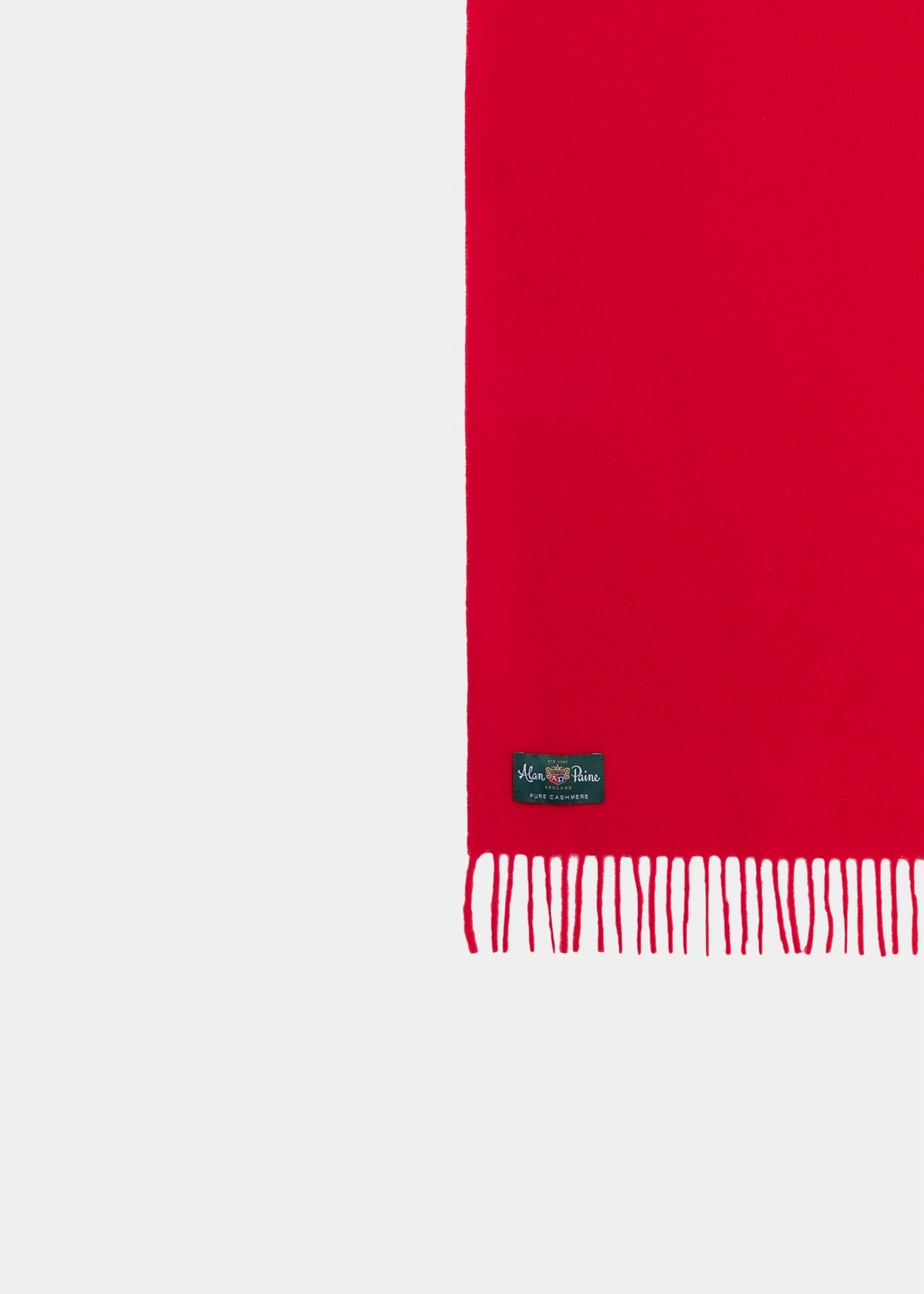 Risbury Men’s Cashmere Plain Scarf In Ruby, a red cashmere scarf with fringe and a brand label at the hem.