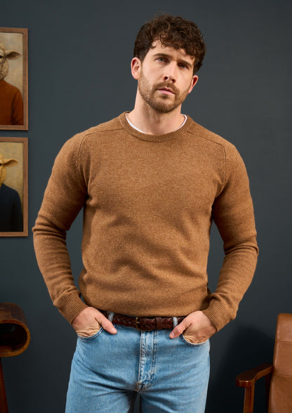 Lenzie-Mens-Lambswool-Jumper-In-Regular-Fit-Driftwood