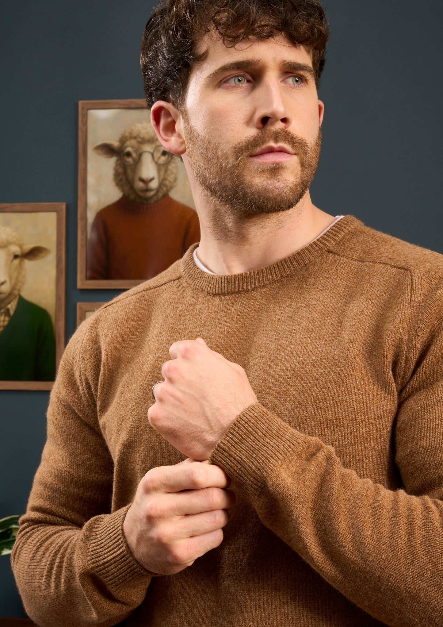 Lenzie-Mens-Lambswool-Jumper-In-Regular-Fit-Driftwood