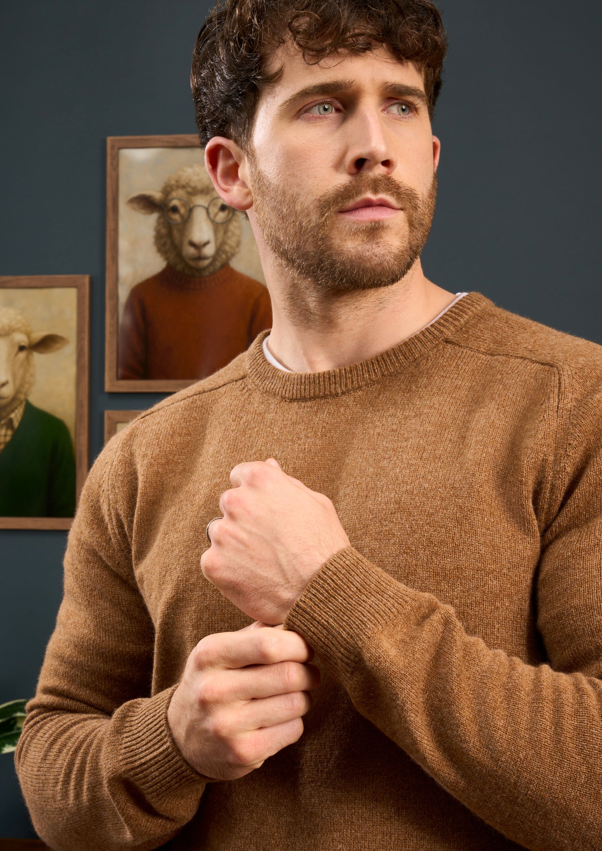 Lenzie-Mens-Lambswool-Jumper-In-Regular-Fit-Driftwood