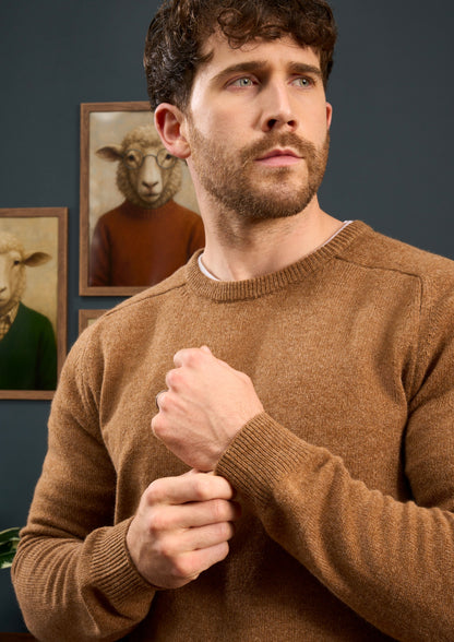 Lenzie-Mens-Lambswool-Jumper-In-Regular-Fit-Driftwood