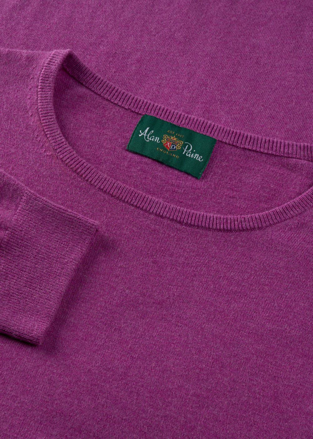 Men's Cotton Cashmere Crew Neck Jumper in Purple