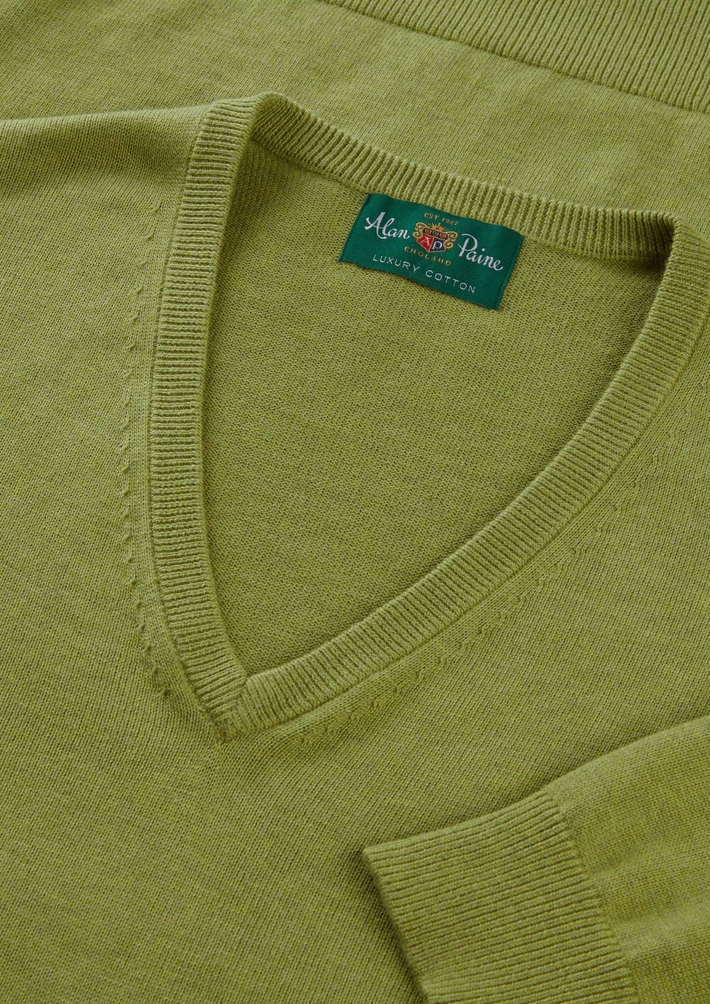 Men's Cotton Cashmere Vee Neck Jumper in Green