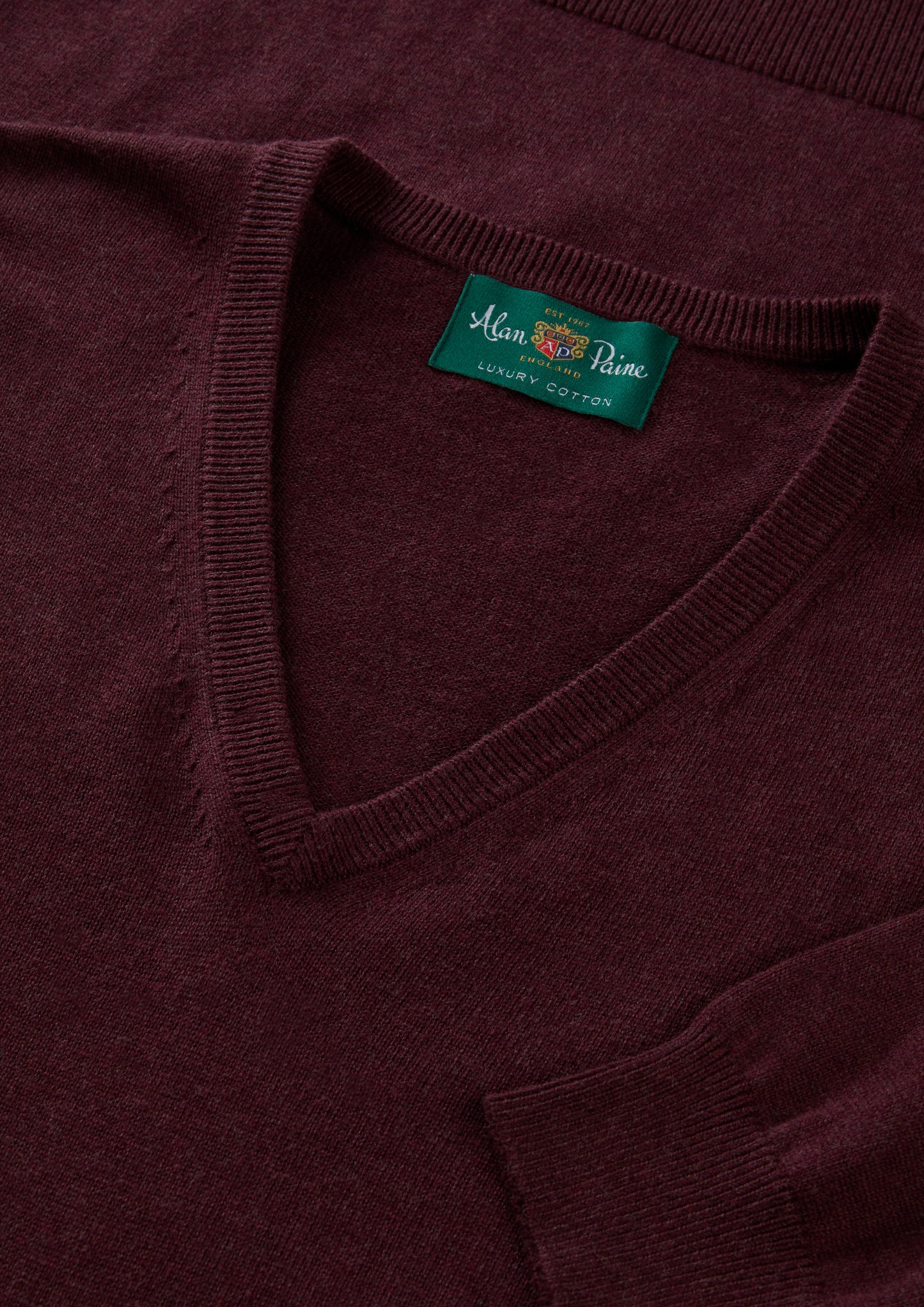 Men's Cotton Cashmere Vee Neck Jumper in Purple