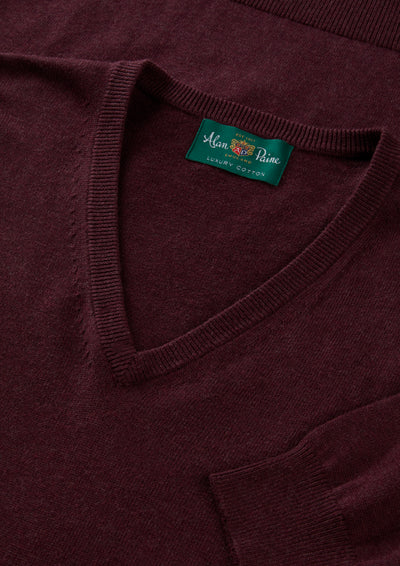 Men's Cotton Cashmere Vee Neck Jumper in Purple