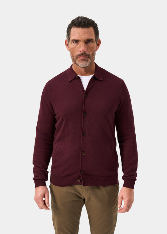 Men's Cotton Cashmere Collared Shirt in Purple