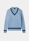 Cotton V-Neck Cricket Jumper In Light Blue and Navy