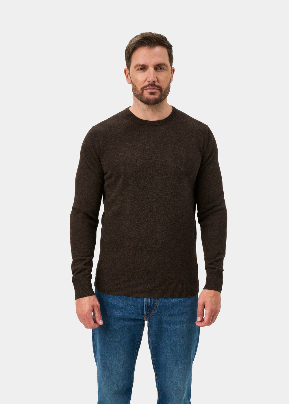 Brisbane Geelong Wool Jumper in Cocoa - Regular Fit