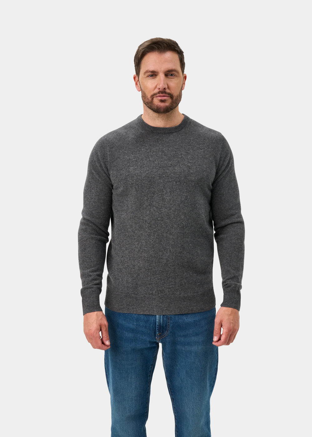 Brisbane Geelong Wool Jumper in Derby - Regular Fit