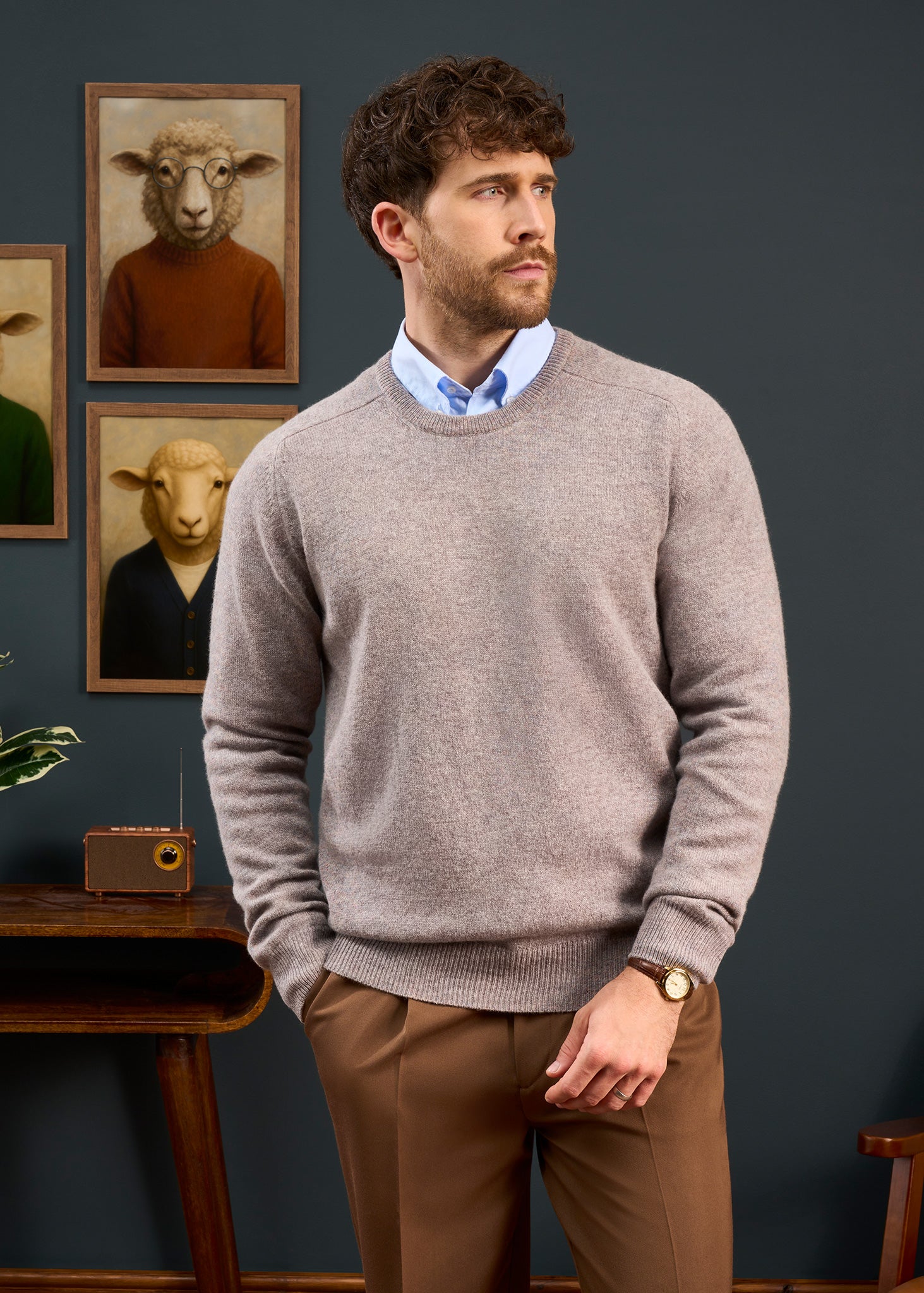 Mens-Lambswool-Crew-Neck-Regular-Fit-Fusion