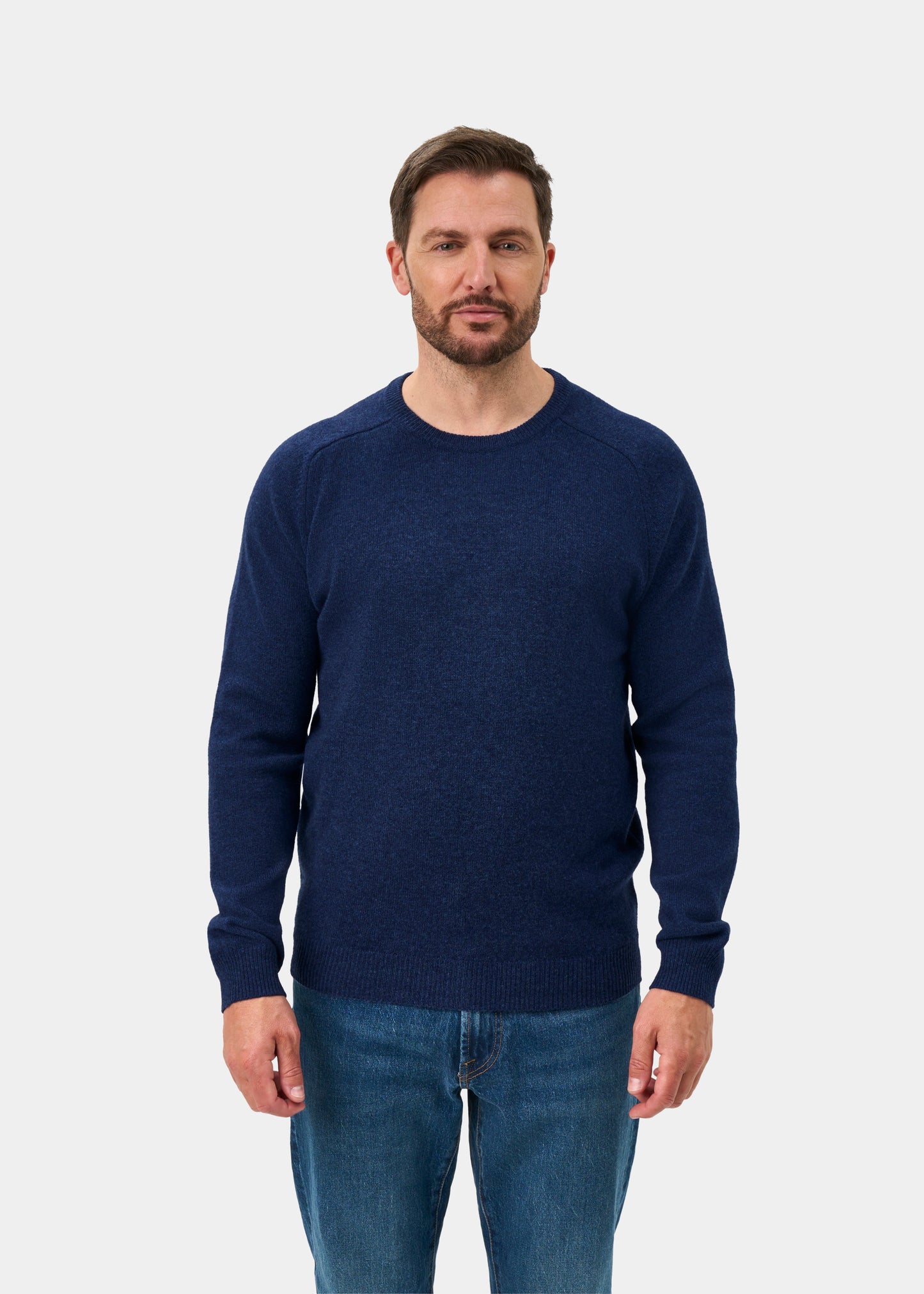 Lenzie Men's Lambswool Jumper In Rhapsody - Regular Fit