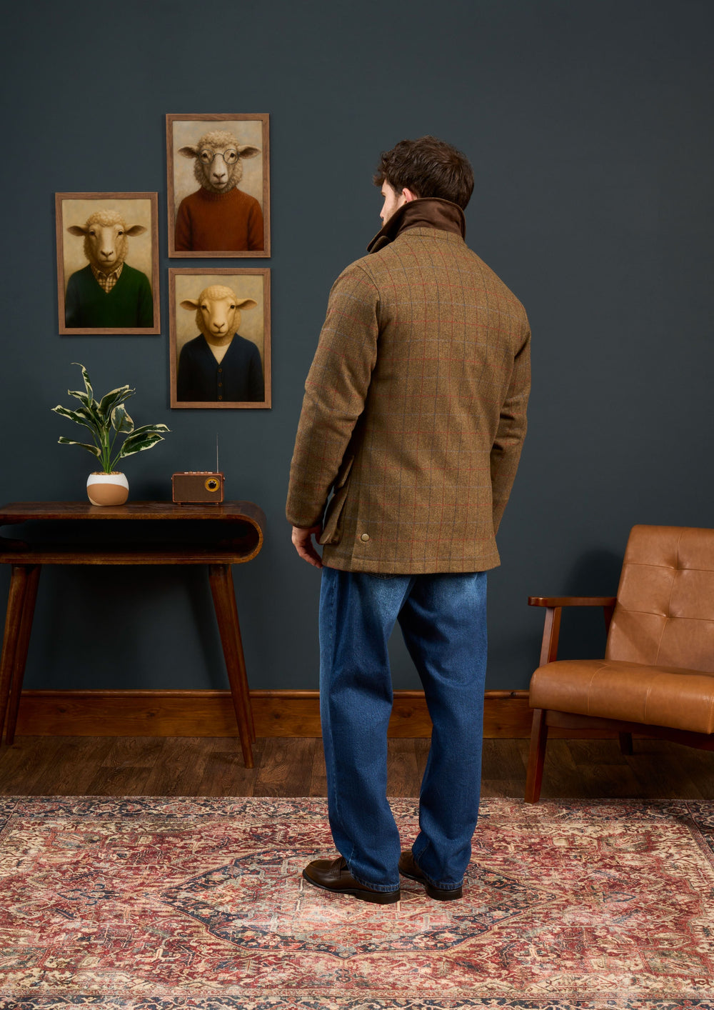 Man wearing Surrey Men’s Tweed Waterproof Coat in Hawkswood, facing sheep portraits in a mid-century styled room.