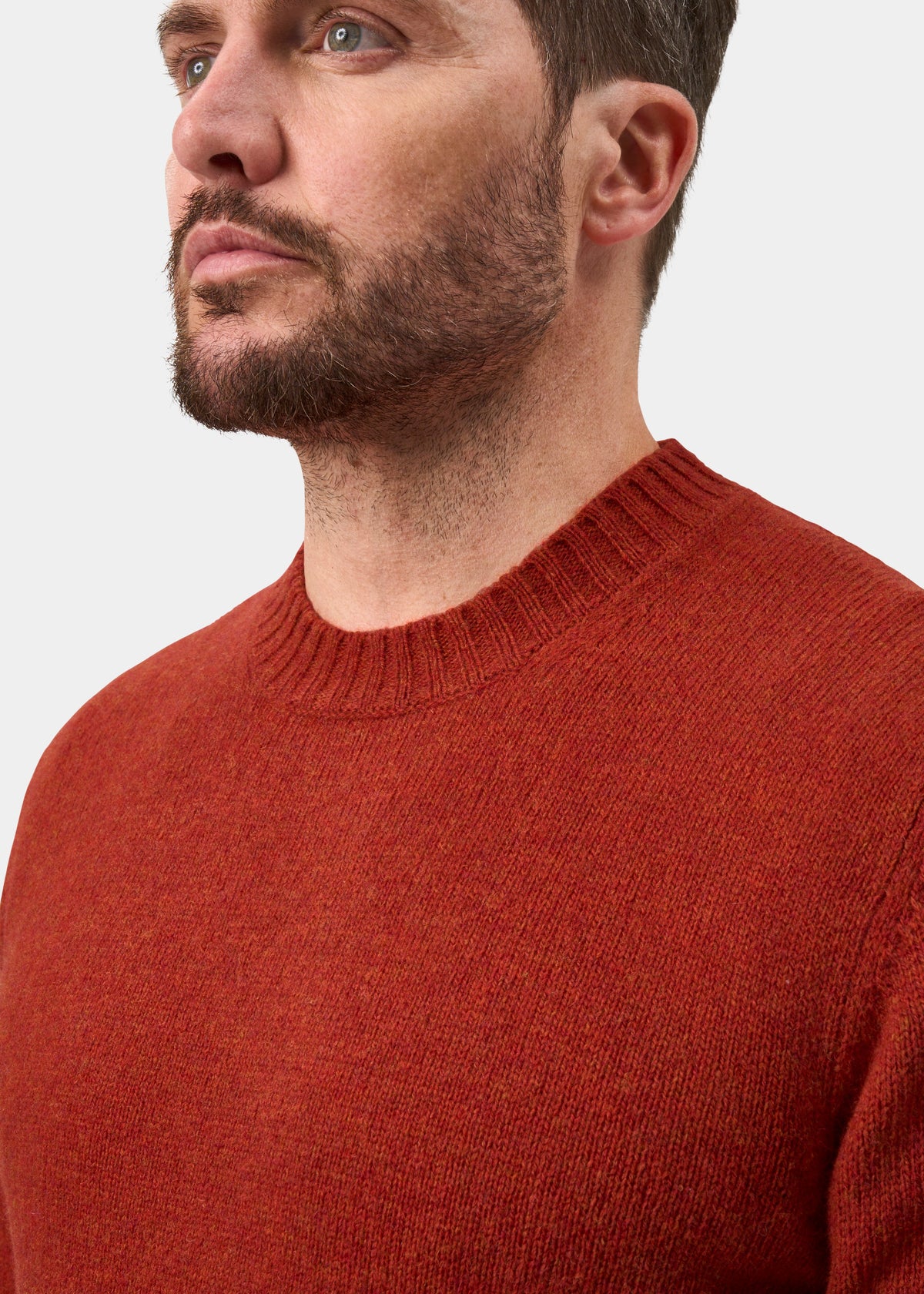 Man with short brown hair and beard in Kinnadie Supersoft Shetland Wool Crew Neck Jumper, Saffron, facing left.