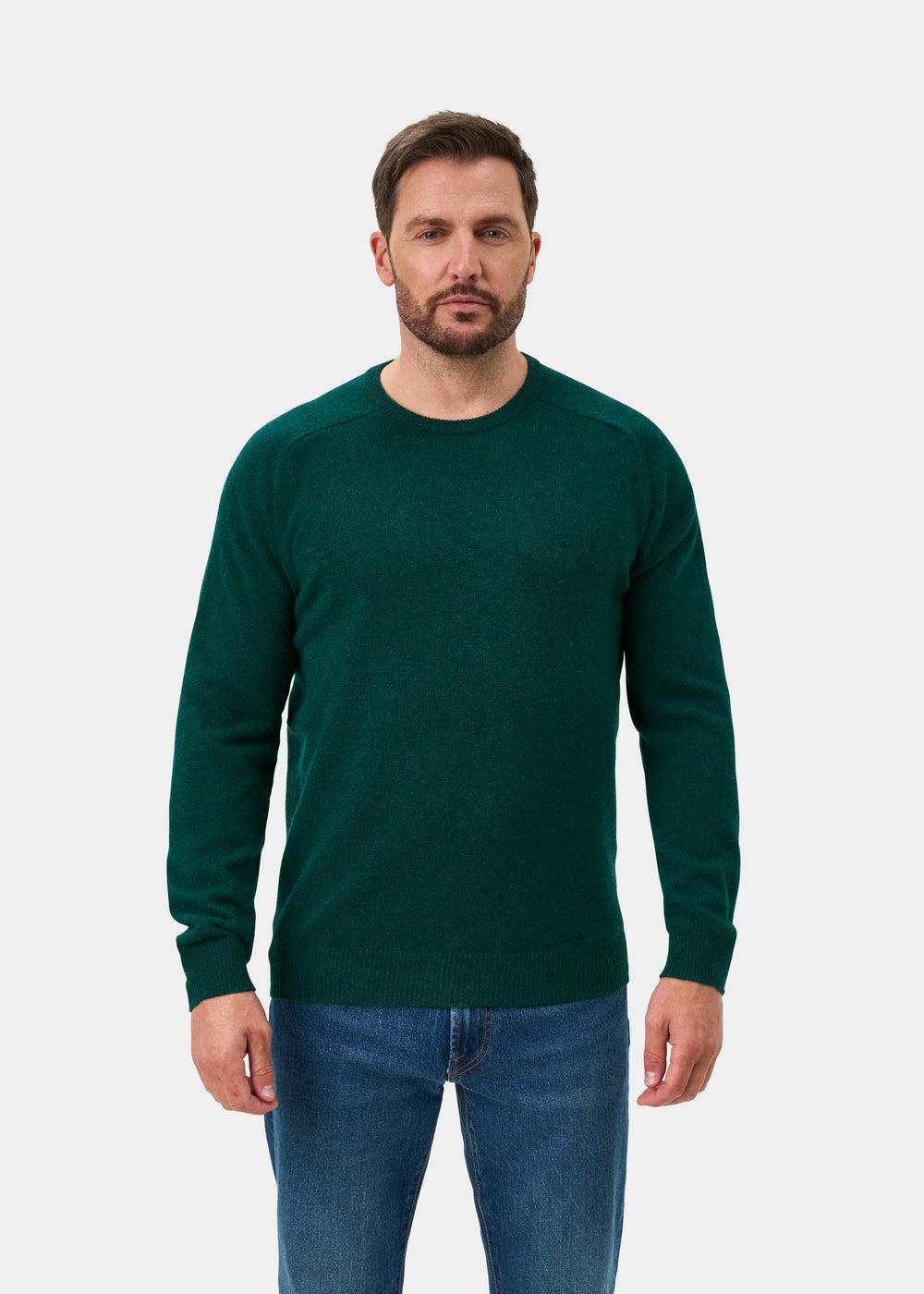 Lenzie Men's Lambswool Jumper In Mallard - Regular Fit