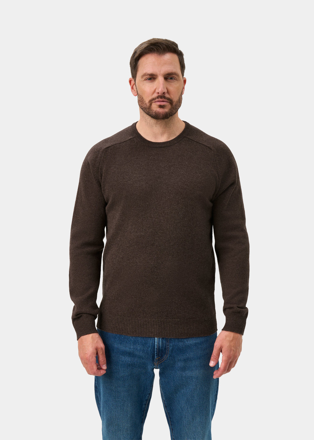 Lenzie Men's Lambswool Jumper In Mocha - Regular Fit