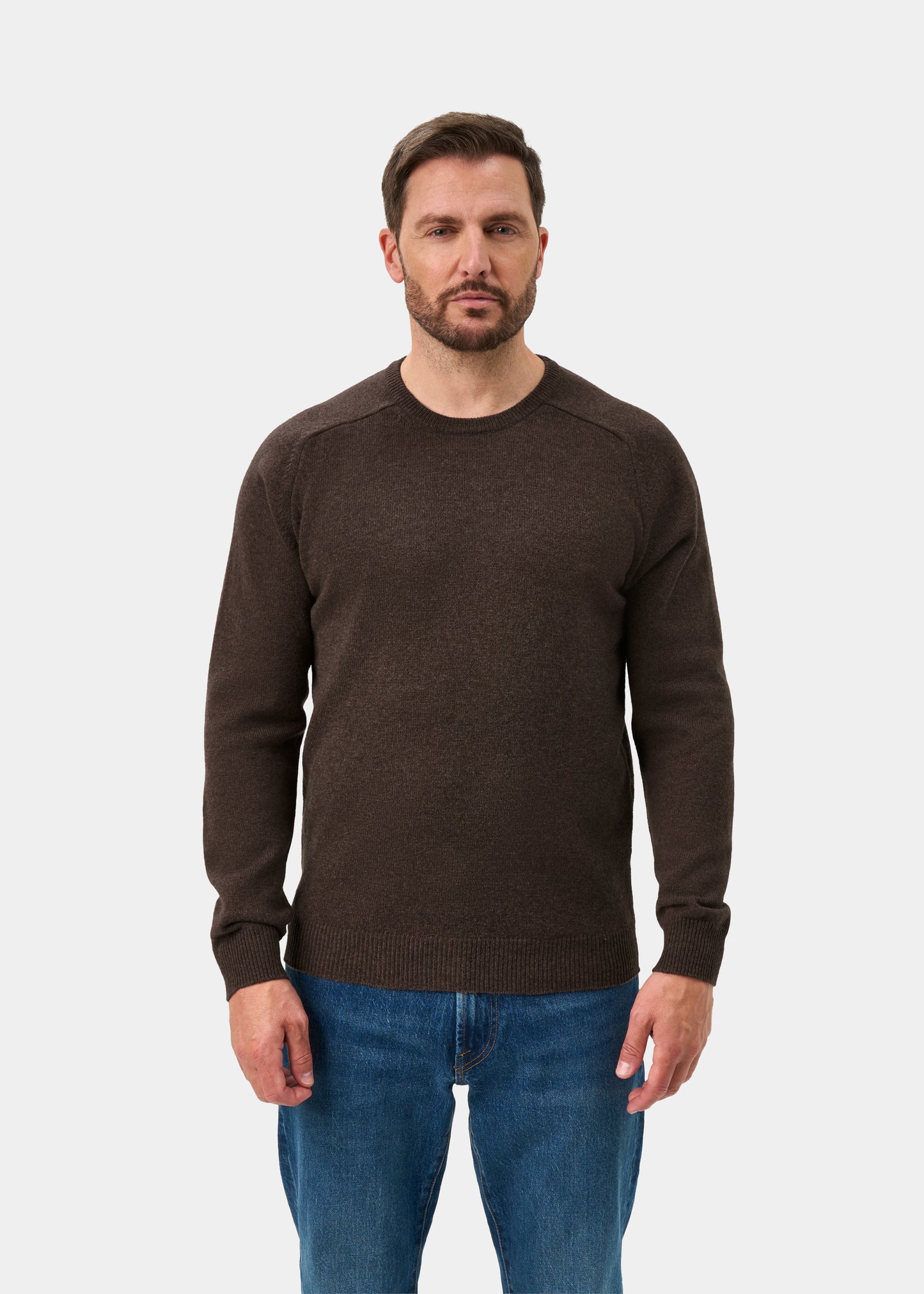 Lenzie Men's Lambswool Jumper In Mocha - Regular Fit