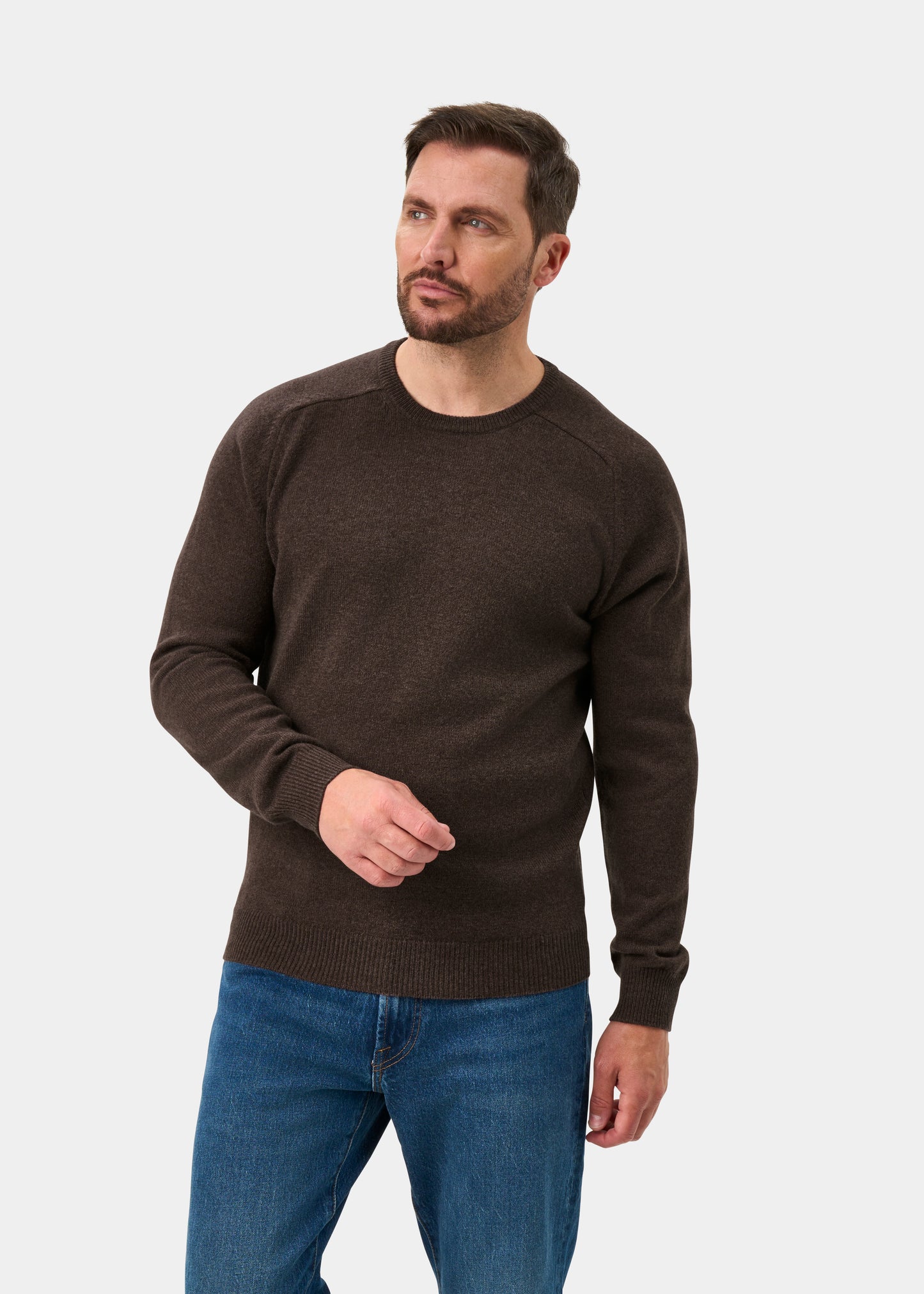 Lenzie Men's Lambswool Jumper In Mocha - Regular Fit
